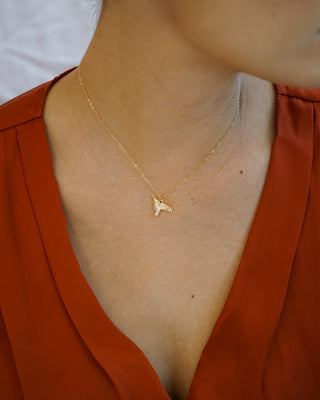 Kolibri-Glückskette