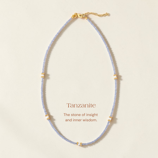Isla Strand Choker Necklace