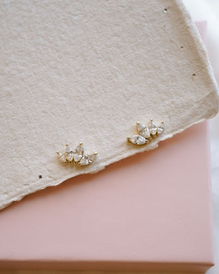 Dainty Gold Ear Climbers