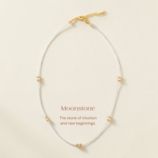 Isla Strand Choker Necklace