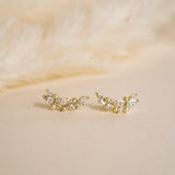 Daphne Garden Climber Studs