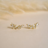 Daphne Garden Climber Studs