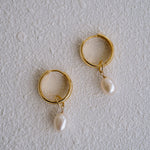Haven Gold Pearl Hoop Earrings - Wander + Lust Jewelry