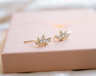 Dainty Gold Ear Climbers